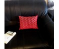 Coussin WELCOME velours bordeaux déhoussable 30 x 40 cm Coussin WELCOME velours bordeaux déhoussable 30 x 40 cm