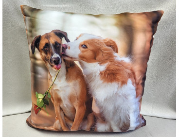 Housse de coussin Chien Rose rouge 40 x 40 cm
